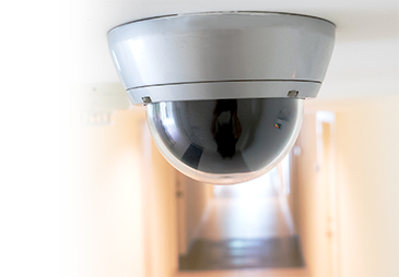 icon CCTV/ Video Vigilancia